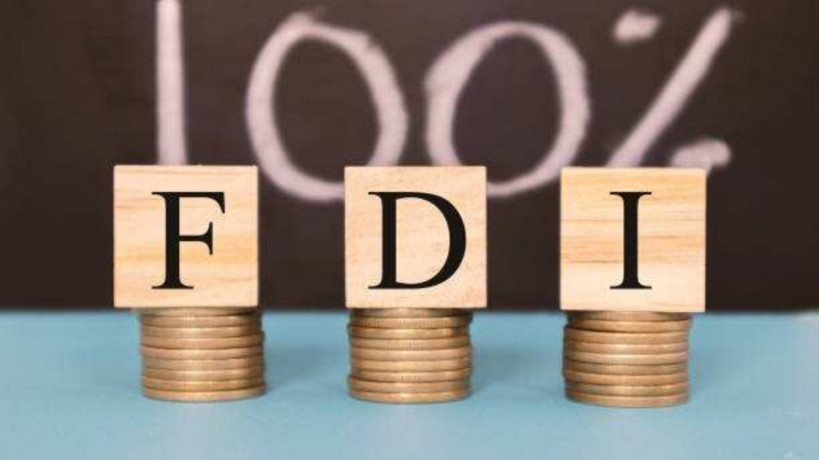 India Opens Insurance Sector to 100% FDI, Sets 20% Cap for LIC