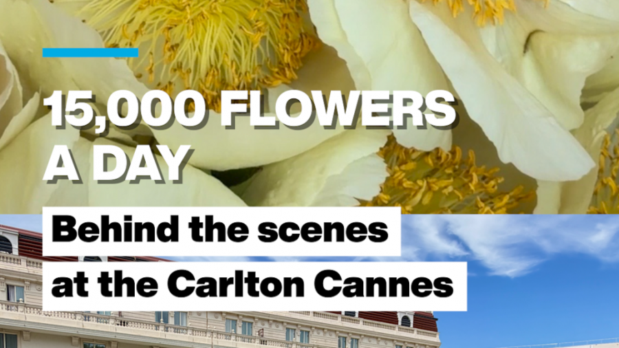 Carlton Cannes Florist