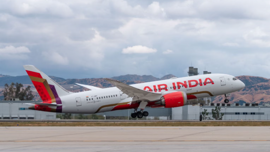 Air India Cuts Flights