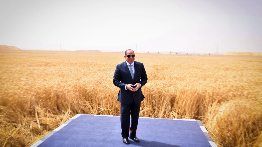 Al-Sisi Launches Landmark New Delta Project with EGP 800bn Investment