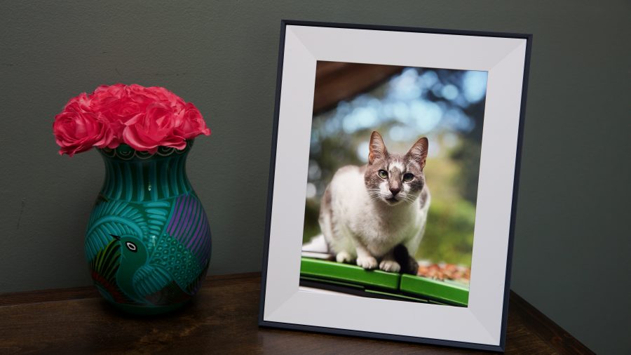Aura Frames Sale