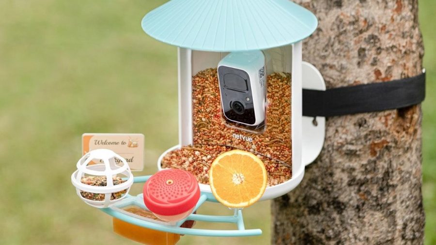 Birdfy Smart Bird Feeders: Perfect Mother’s Day Gifts Now on Sale