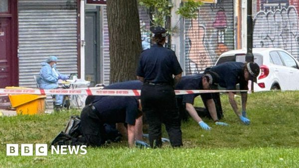 Brixton Shooting