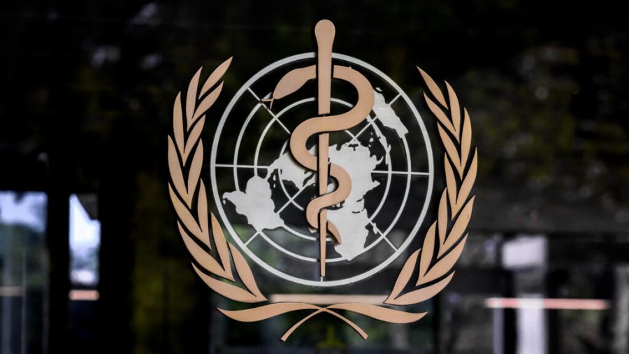 WHO Summit Grapples With Funding Crisis and Global Health Emergencies