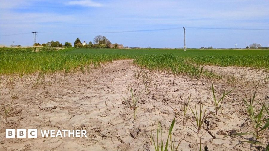 UK Faces Potential Drought This Summer After Dry April