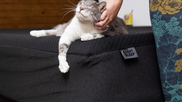 Why My $5K Smart Bed Is Driving Me Crazy: A Deep Dive