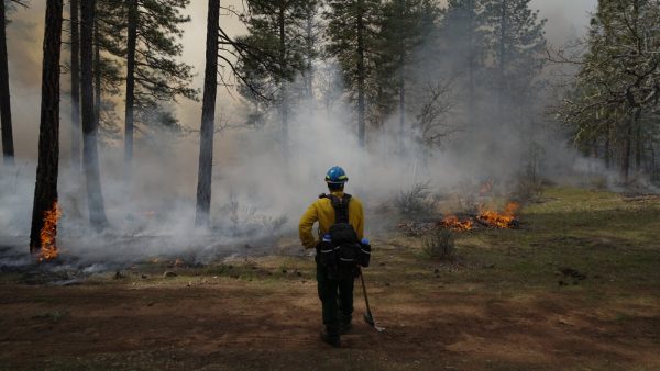 Wildfires Intensify