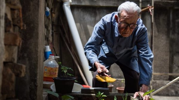 Oldest Nanjing Massacre Survivor Passes Away at 100, Less Than 100 Remain
