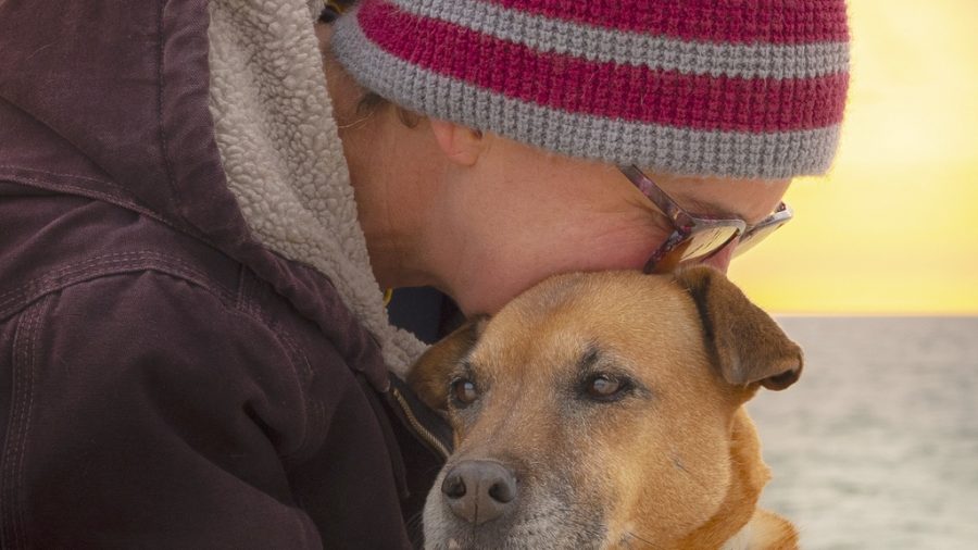 Support Pets Rise