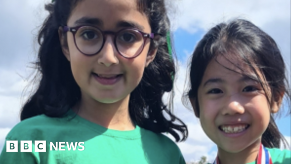 Woman Charged in Tragic Wimbledon School Crash That Killed Two