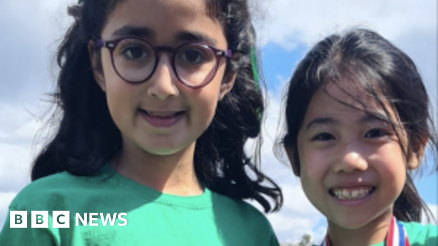 Woman Charged in Tragic Wimbledon School Crash That Killed Two