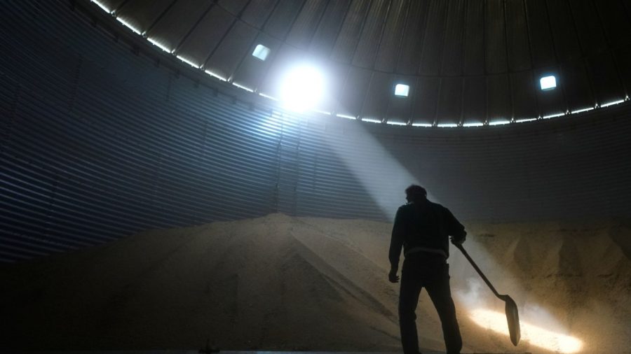 Rising Costs of Farm Support: A $55 Billion Safety Net for American Agriculture