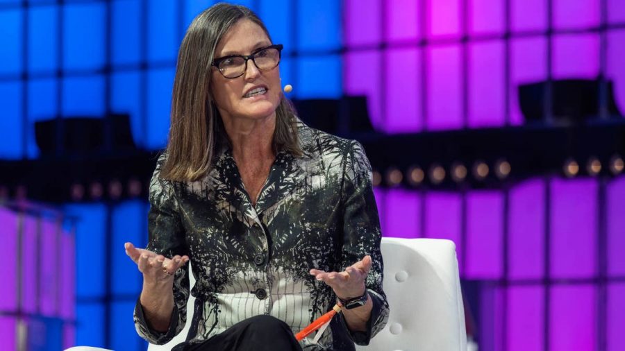 Cathie Wood Invests $529.7 Million in New Stock: What It Means for Investors
