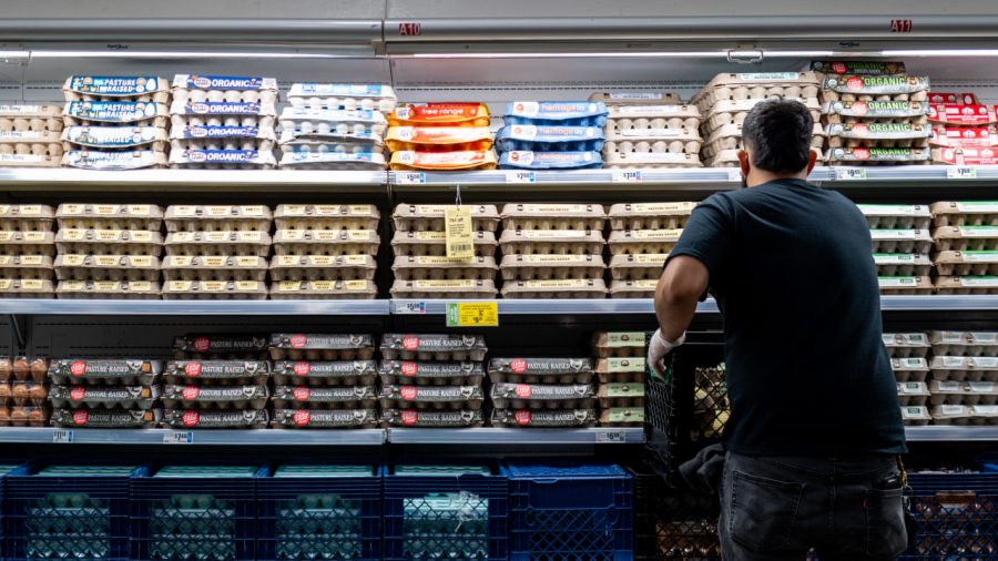 Antitrust Investigation Reveals Egg Producers’ Price Manipulation