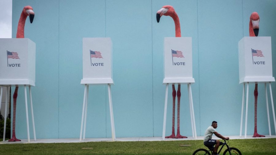 Florida’s Flamingo Fiasco: A Political Showdown Over Bird Rights