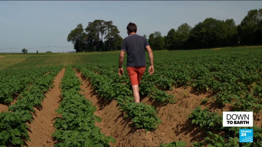 French Co-Op Aims to Showcase Organic Farming as a Viable Solution for Global Food Needs