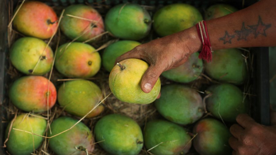 Wall Street’s Quest for the Next ‘Magnificent 7’: The Rise of MANGOS