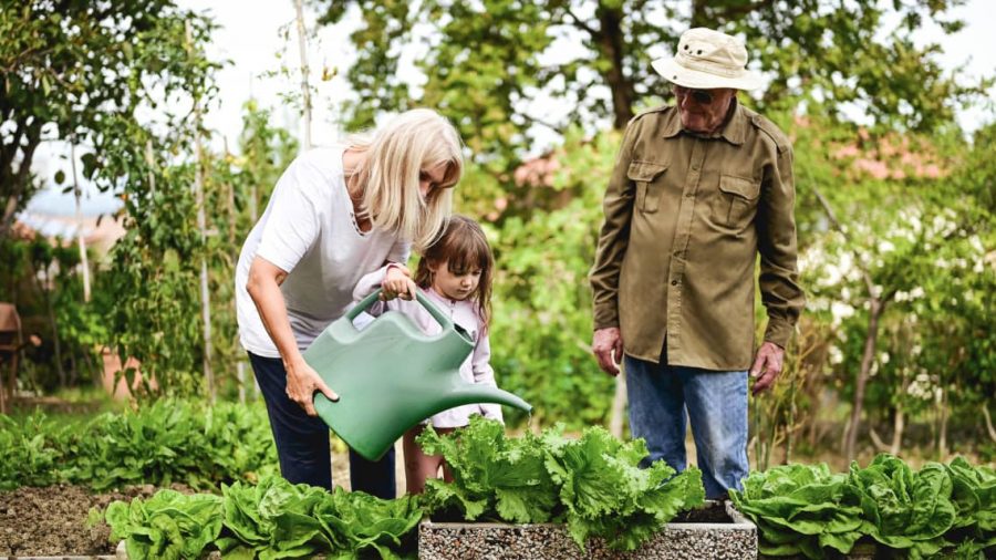 Fund Your Grandchild’s Retirement Tax-Free from Birth: What You Need to Know