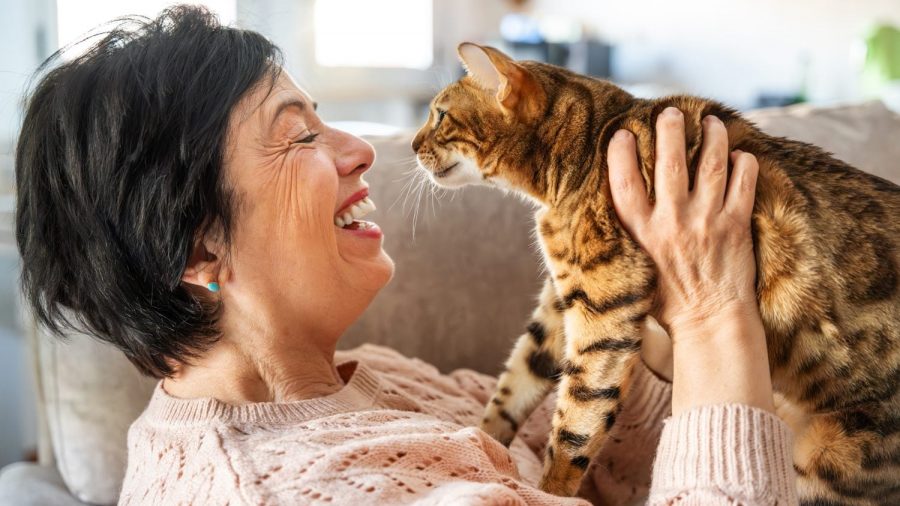 How a 73-Year-Old Investor Built a Steady Income with O, MAIN, and SPY