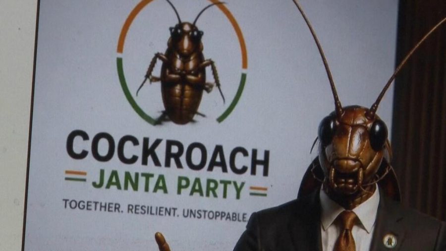 India’s Cockroach Party: A Youth Movement Demanding Accountability
