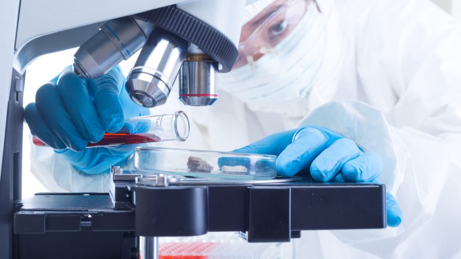 Is Wave Life Sciences Ltd. (WVE) a Smart Investment Choice in 2023?