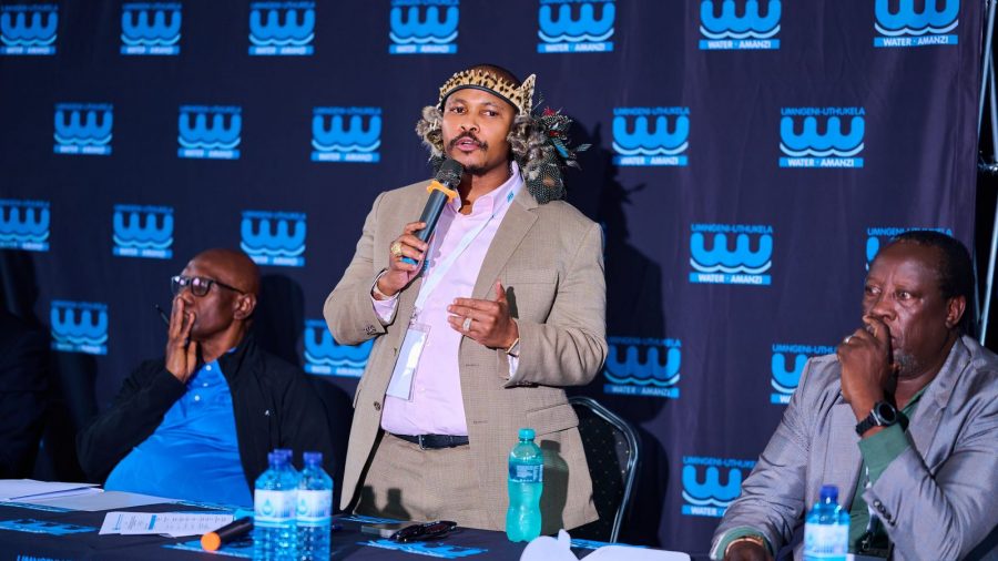 Transforming KwaZulu-Natal: King MisuZulu Appoints Malusi Zondi for Economic Revival