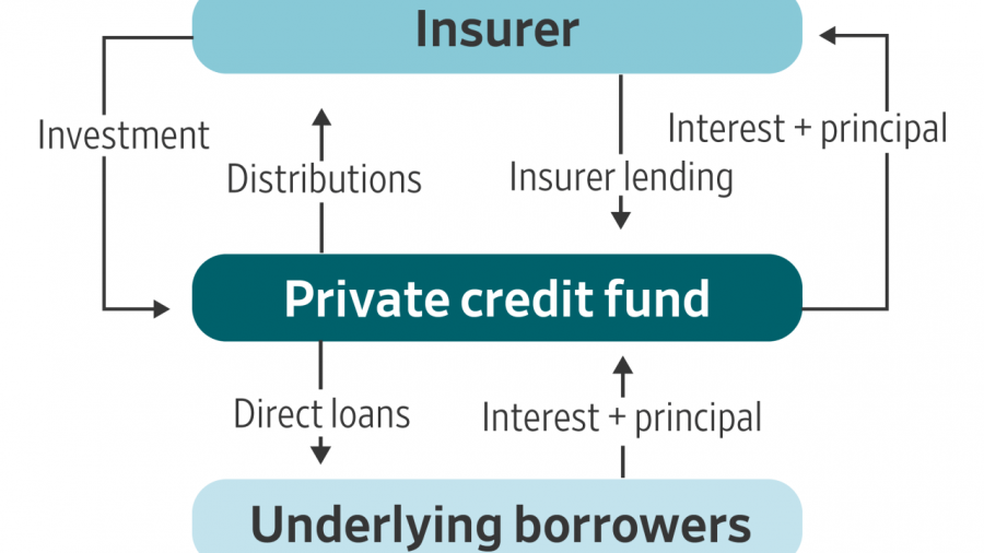 Life Insurers: Key Players in Private Credit Lending and Investment