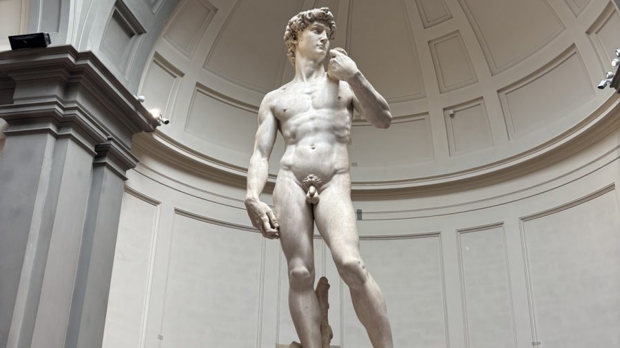 The Timeless Majesty of Michelangelo’s David: A Masterpiece Unveiled