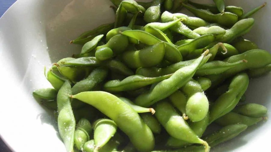 Soybean Market Experiences Minor Setbacks as Trading Week Closes
