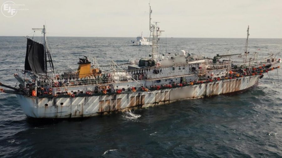 Revealed: The Dark Side of the Global Squid Industry – Illegal Fishing and Forced Labor