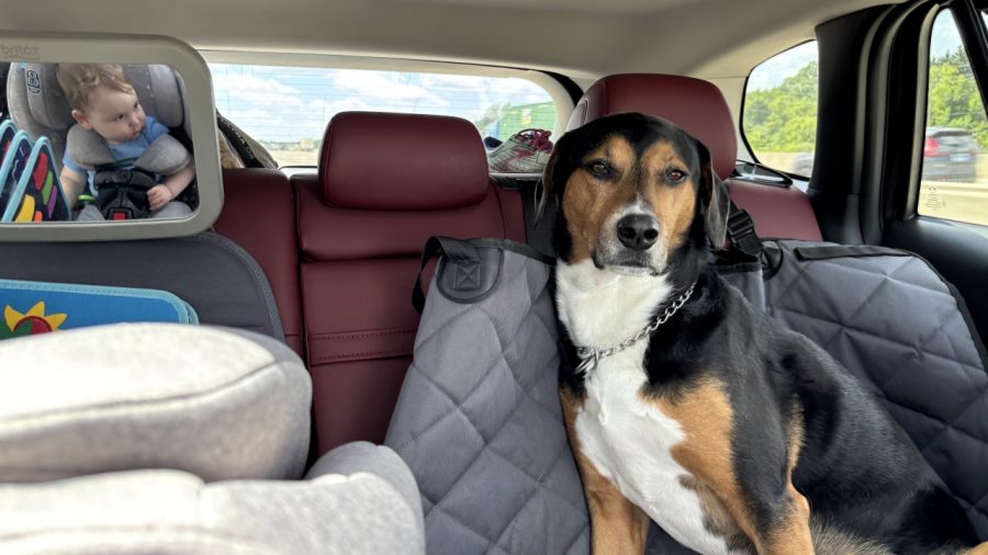 Essential Tips for Surviving Your First Road Trip with a Baby