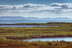 Harnessing Nature’s Power: South Africa’s Ground-Level Climate Defense