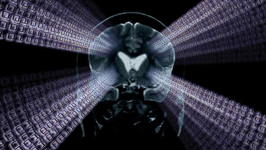 Why the Human Brain Is More Than Just a Machine: A Deep Dive