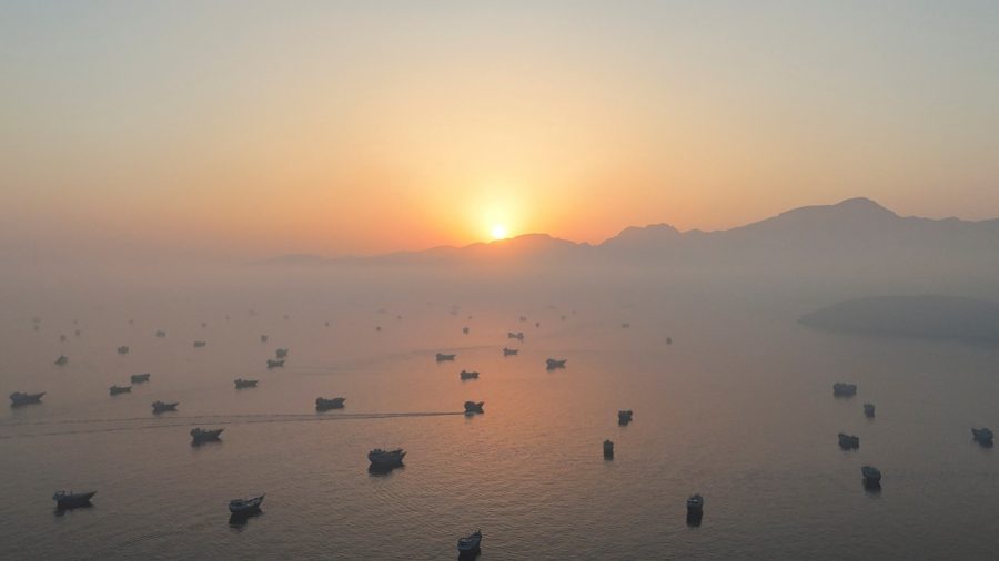 Strait of Hormuz: Navigating the Aftermath of Disruptions