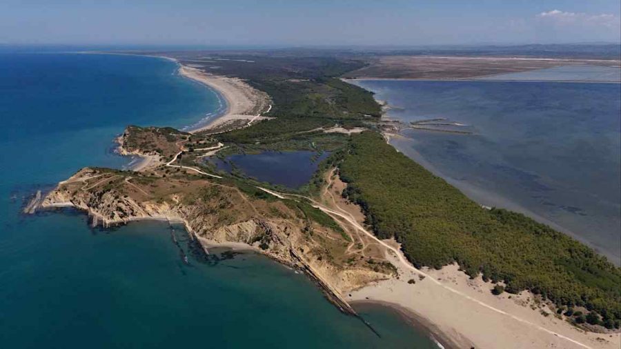 Trump Family’s Luxury Project Threatens Albania’s Flamingo Habitat