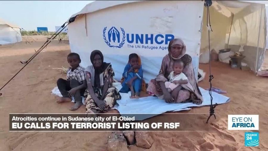 European Parliament Urges Terrorist Designation for Sudan’s Rapid Support Forces