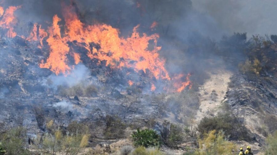 Firefighters Make Progress Against Deadly Wildfires in Spain’s Andalusia