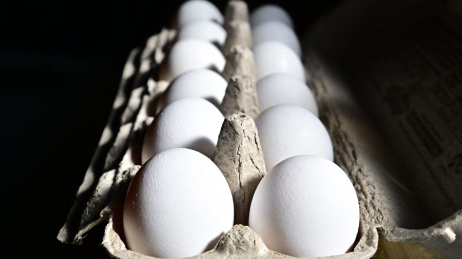 Inside the Egg Price-Fixing Scandal That Drove Up Grocery Bills