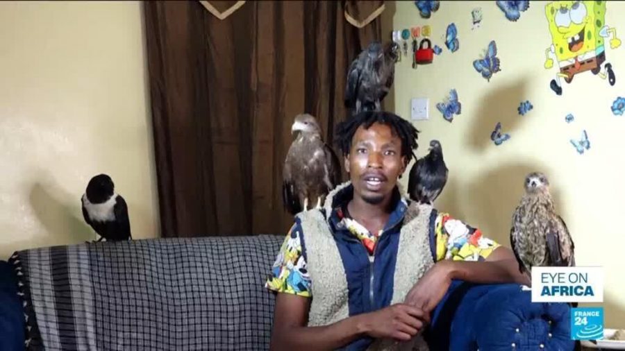 Kenya’s Birdman: A Viral Sensation Amid Health Concerns