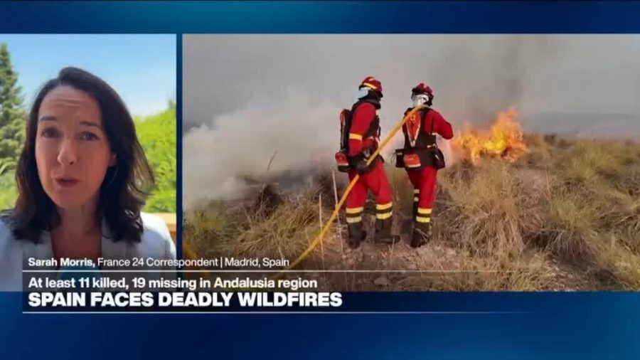 Tragedy Strikes Spain: Wildfires Claim 12 Lives in Andalusia