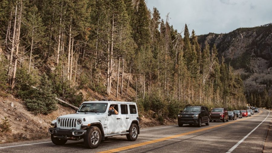 Summer Driving Season 2023: Americans Hit the Road Despite High Gas Prices