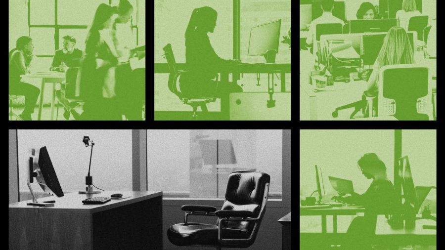 Founder Fired Over Return-to-Office Policy: A Tale of Betrayal