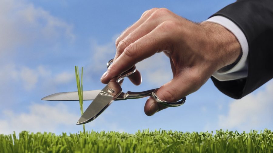 The Lawn Obsession: Why White-Collar Men Chase the Perfect Turf